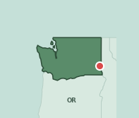 Map showing the location of ZIP code 99163 within Washington