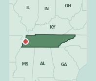 Map showing the location of ZIP code 38063 within Tennessee