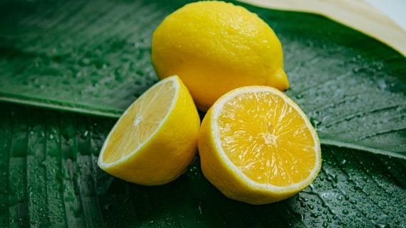 Whole and halved lemons on a wet green leaf