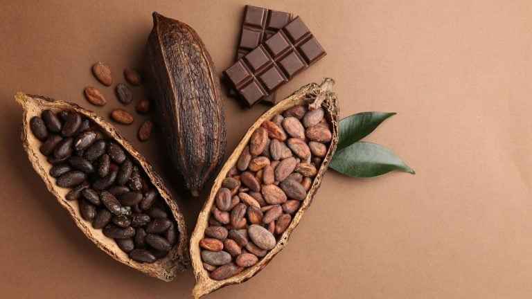 Broken squares of dark chocolate on a dark surface