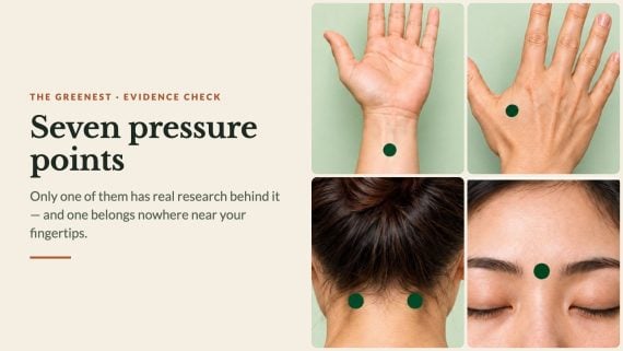 Four of the seven pressure points marked on the forearm, hand, neck and forehead